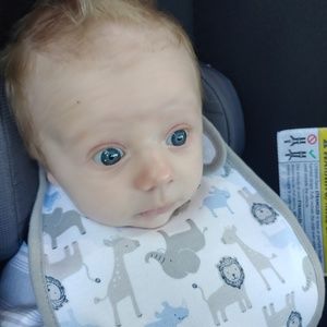 Meet your Posher, Wesley